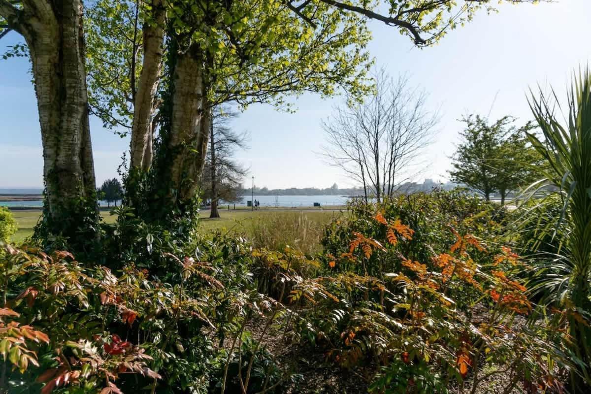 Park Lake View Пул Екстериор снимка